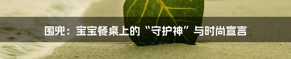 围兜:宝宝餐桌上的“守护神”与时尚宣言
