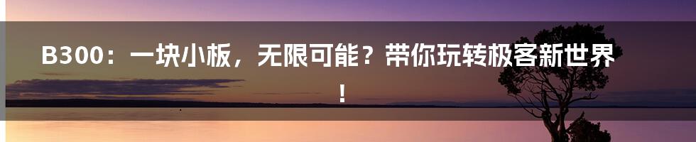 B300：一块小板，无限可能？带你玩转极客新世界！