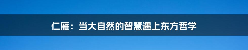 仁雁:当大自然的智慧遇上东方哲学