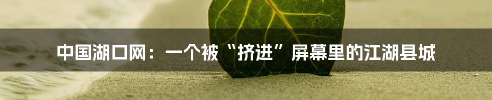 中国湖口网:一个被“挤进”屏幕里的江湖县城