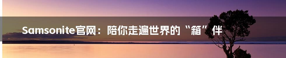 Samsonite官网:陪你走遍世界的“箱”伴