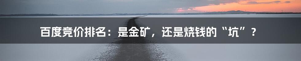 百度竞价排名:是金矿,还是烧钱的“坑”?