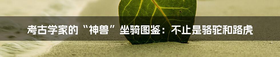 考古学家的“神兽”坐骑图鉴:不止是骆驼和路虎