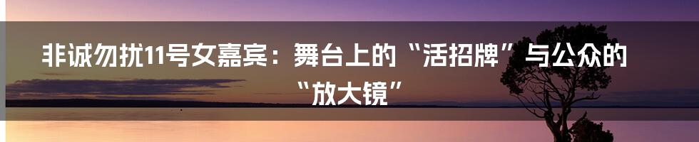 非诚勿扰11号女嘉宾:舞台上的“活招牌”与公众的“放大镜”