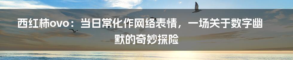 西红柿ovo:当日常化作网络表情,一场关于数字幽默的奇妙探险