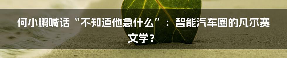 何小鹏喊话“不知道他急什么”:智能汽车圈的凡尔赛文学?
