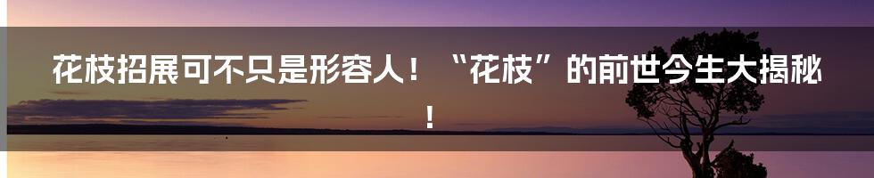 花枝招展可不只是形容人!“花枝”的前世今生大揭秘!