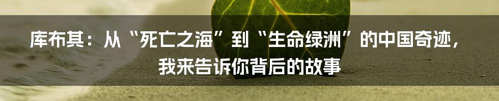 库布其:从“死亡之海”到“生命绿洲”的中国奇迹,我来告诉你背后的故事