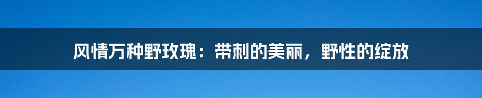 风情万种野玫瑰:带刺的美丽,野性的绽放