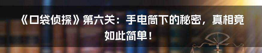 《口袋侦探》第六关:手电筒下的秘密,真相竟如此简单!