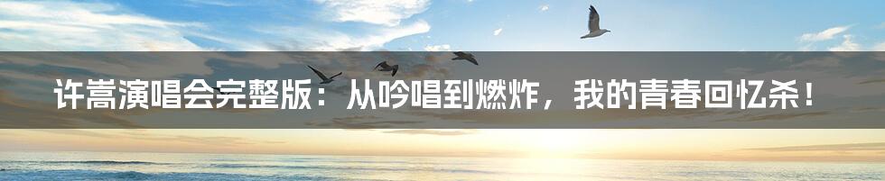 许嵩演唱会完整版：从吟唱到燃炸，我的青春回忆杀！