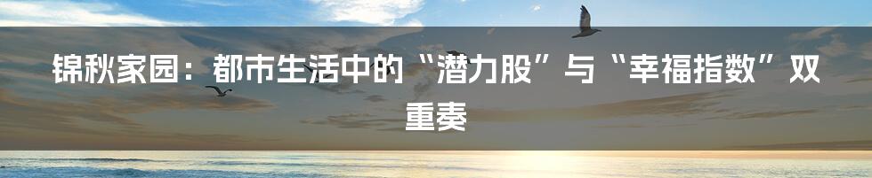 锦秋家园:都市生活中的“潜力股”与“幸福指数”双重奏
