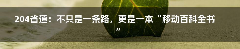 204省道:不只是一条路,更是一本“移动百科全书”