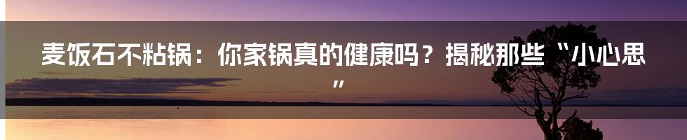 麦饭石不粘锅:你家锅真的健康吗?揭秘那些“小心思”