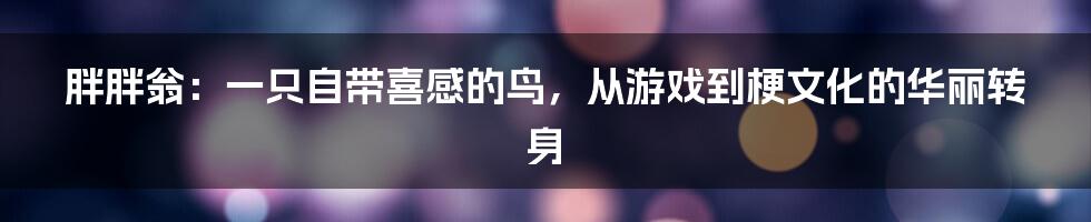 胖胖翁:一只自带喜感的鸟,从游戏到梗文化的华丽转身