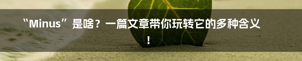 “Minus”是啥？一篇文章带你玩转它的多种含义！