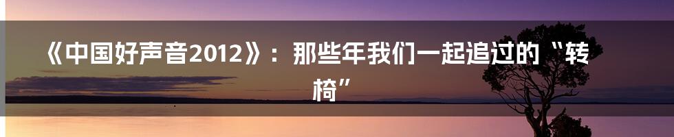 《中国好声音2012》:那些年我们一起追过的“转椅”