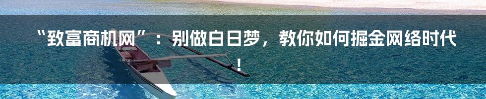 “致富商机网”：别做白日梦，教你如何掘金网络时代！