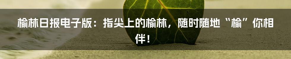 榆林日报电子版:指尖上的榆林,随时随地“榆”你相伴!