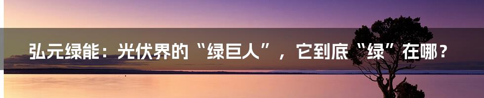弘元绿能：光伏界的“绿巨人”，它到底“绿”在哪？
