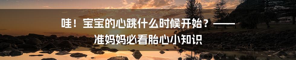 哇！宝宝的心跳什么时候开始？—— 准妈妈必看胎心小知识