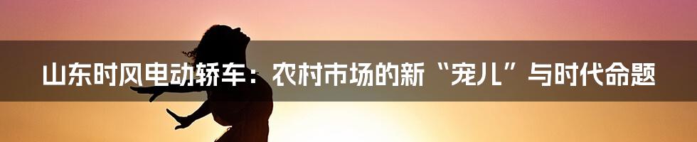 山东时风电动轿车：农村市场的新“宠儿”与时代命题
