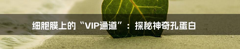 细胞膜上的“VIP通道”:探秘神奇孔蛋白