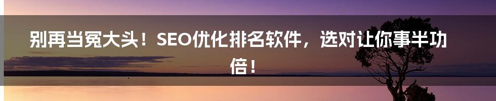 别再当冤大头!SEO优化排名软件,选对让你事半功倍!