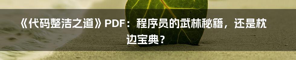 《代码整洁之道》PDF：程序员的武林秘籍，还是枕边宝典？