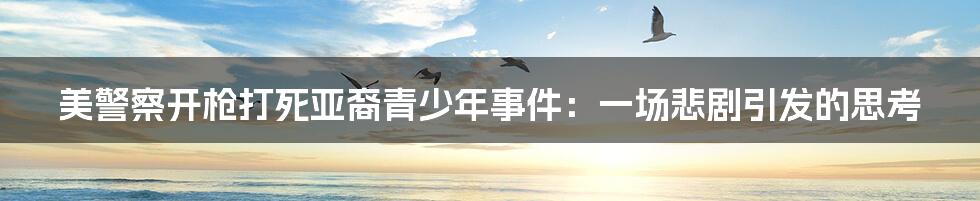 美警察开枪打死亚裔青少年事件:一场悲剧引发的思考