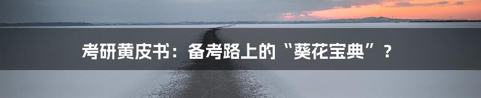 考研黄皮书：备考路上的“葵花宝典”？