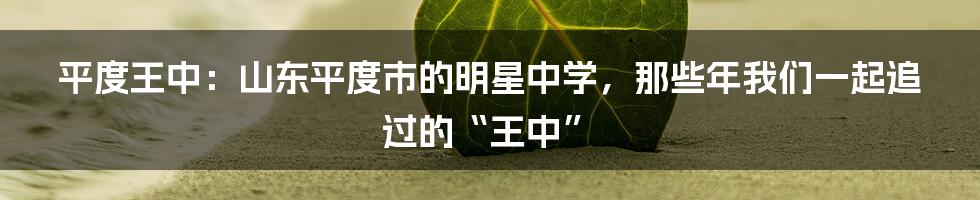 平度王中:山东平度市的明星中学,那些年我们一起追过的“王中”