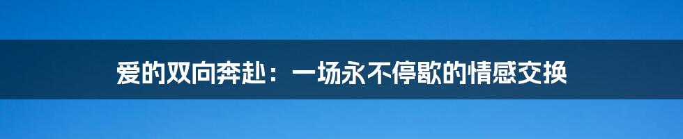 爱的双向奔赴:一场永不停歇的情感交换