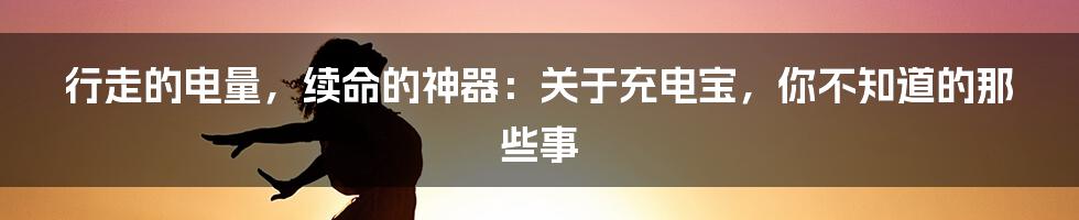 行走的电量,续命的神器:关于充电宝,你不知道的那些事