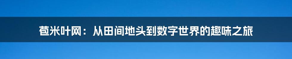 苞米叶网：从田间地头到数字世界的趣味之旅