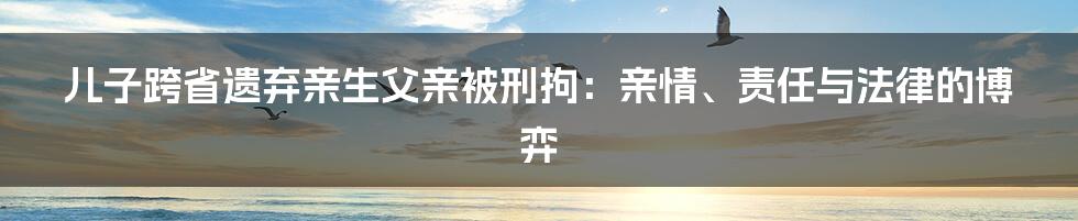 儿子跨省遗弃亲生父亲被刑拘:亲情、责任与法律的博弈
