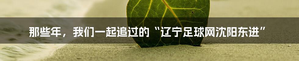 那些年，我们一起追过的“辽宁足球网沈阳东进”