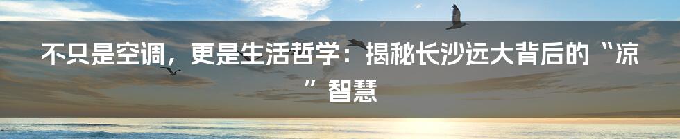 不只是空调，更是生活哲学：揭秘长沙远大背后的“凉”智慧