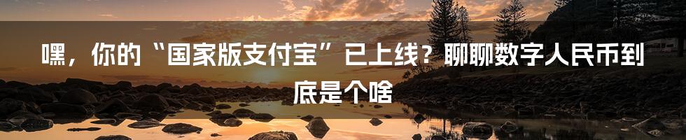 嘿,你的“国家版支付宝”已上线?聊聊数字人民币到底是个啥