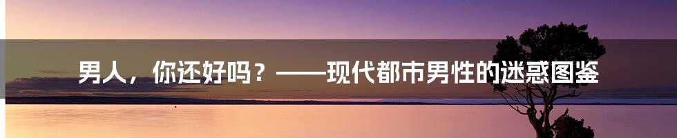 男人,你还好吗?——现代都市男性的迷惑图鉴