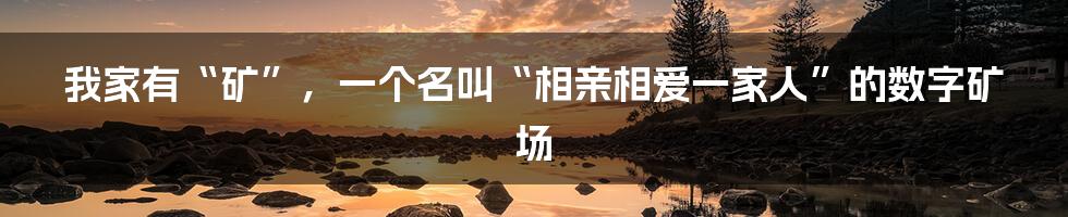我家有“矿”,一个名叫“相亲相爱一家人”的数字矿场