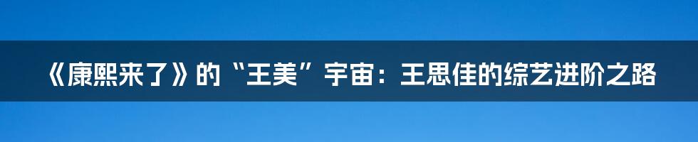 《康熙来了》的“王美”宇宙:王思佳的综艺进阶之路