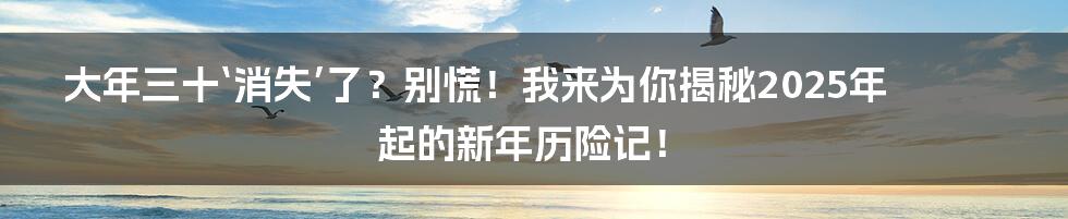 大年三十‘消失’了？别慌！我来为你揭秘2025年起的新年历险记！