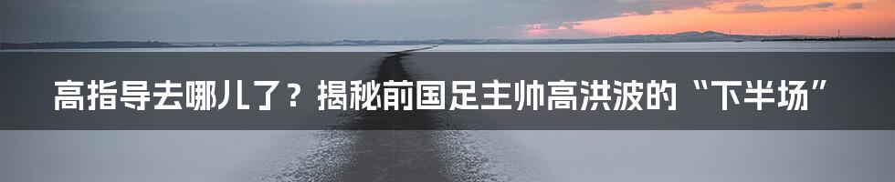 高指导去哪儿了？揭秘前国足主帅高洪波的“下半场”