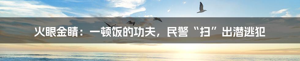 火眼金睛：一顿饭的功夫，民警“扫”出潜逃犯