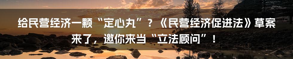 给民营经济一颗“定心丸”？《民营经济促进法》草案来了，邀你来当“立法顾问”！