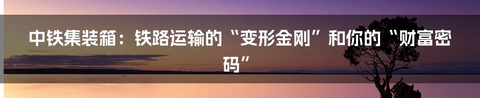 中铁集装箱：铁路运输的“变形金刚”和你的“财富密码”
