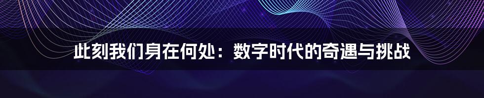 此刻我们身在何处：数字时代的奇遇与挑战