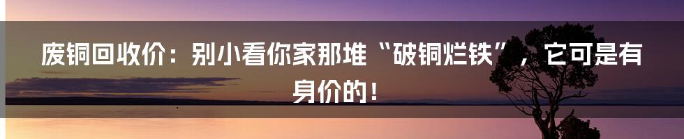 废铜回收价：别小看你家那堆“破铜烂铁”，它可是有身价的！