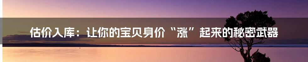 估价入库：让你的宝贝身价“涨”起来的秘密武器